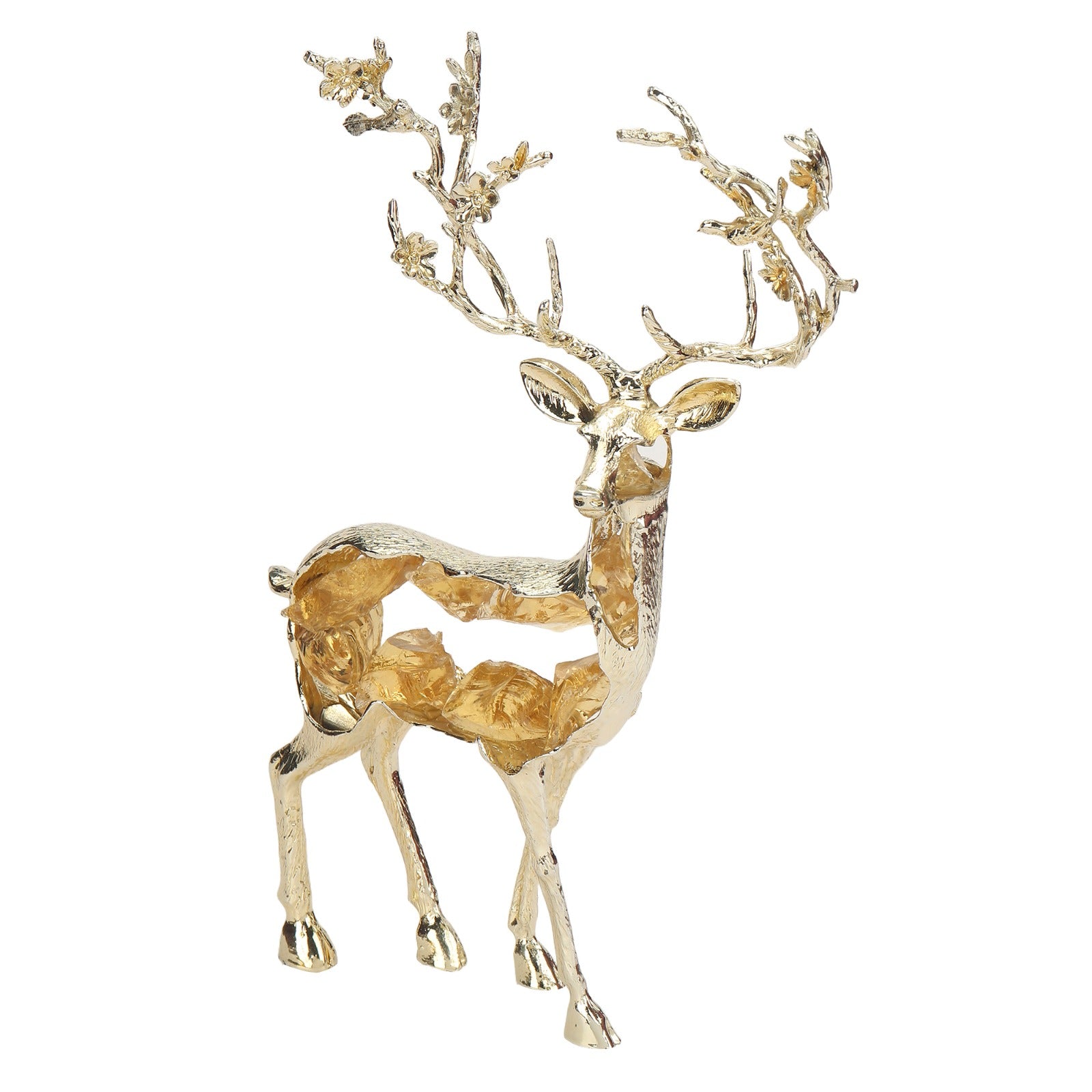 WhatsApp Image 2025-10-05 at 2.56.43 PM (2)