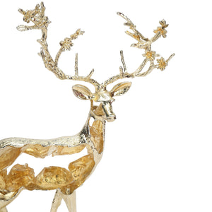 WhatsApp Image 2025-10-05 at 2.56.43 PM