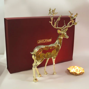 WhatsApp Image 2025-10-05 at 2.56.44 PM (2)