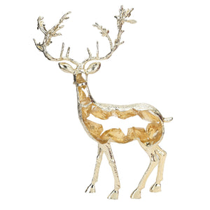 WhatsApp Image 2025-10-05 at 2.56.42 PM