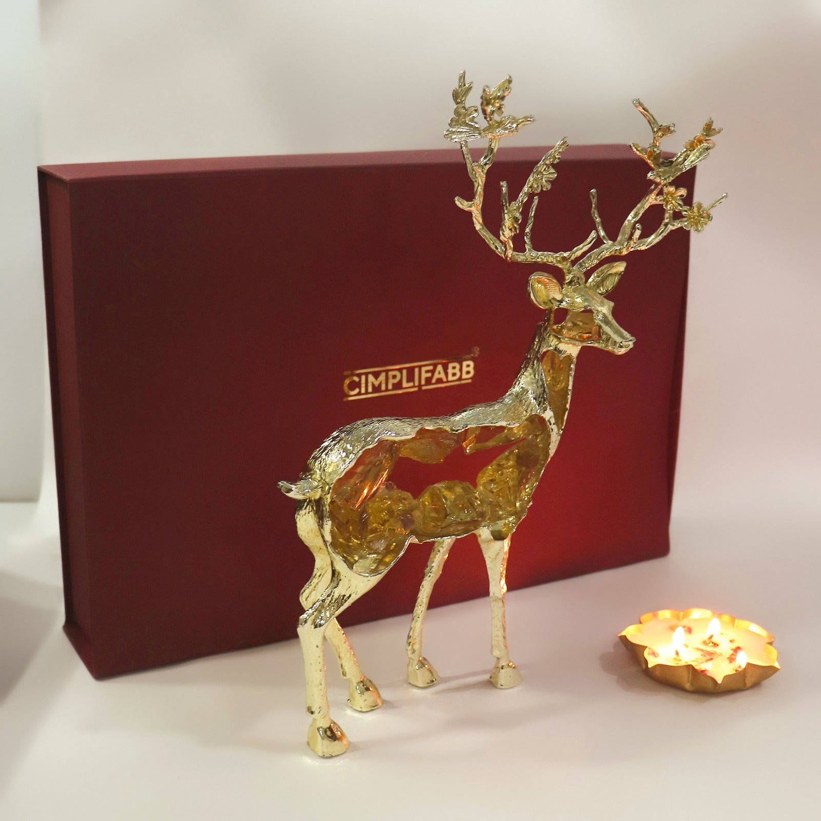 WhatsApp Image 2025-10-05 at 2.56.44 PM (2)