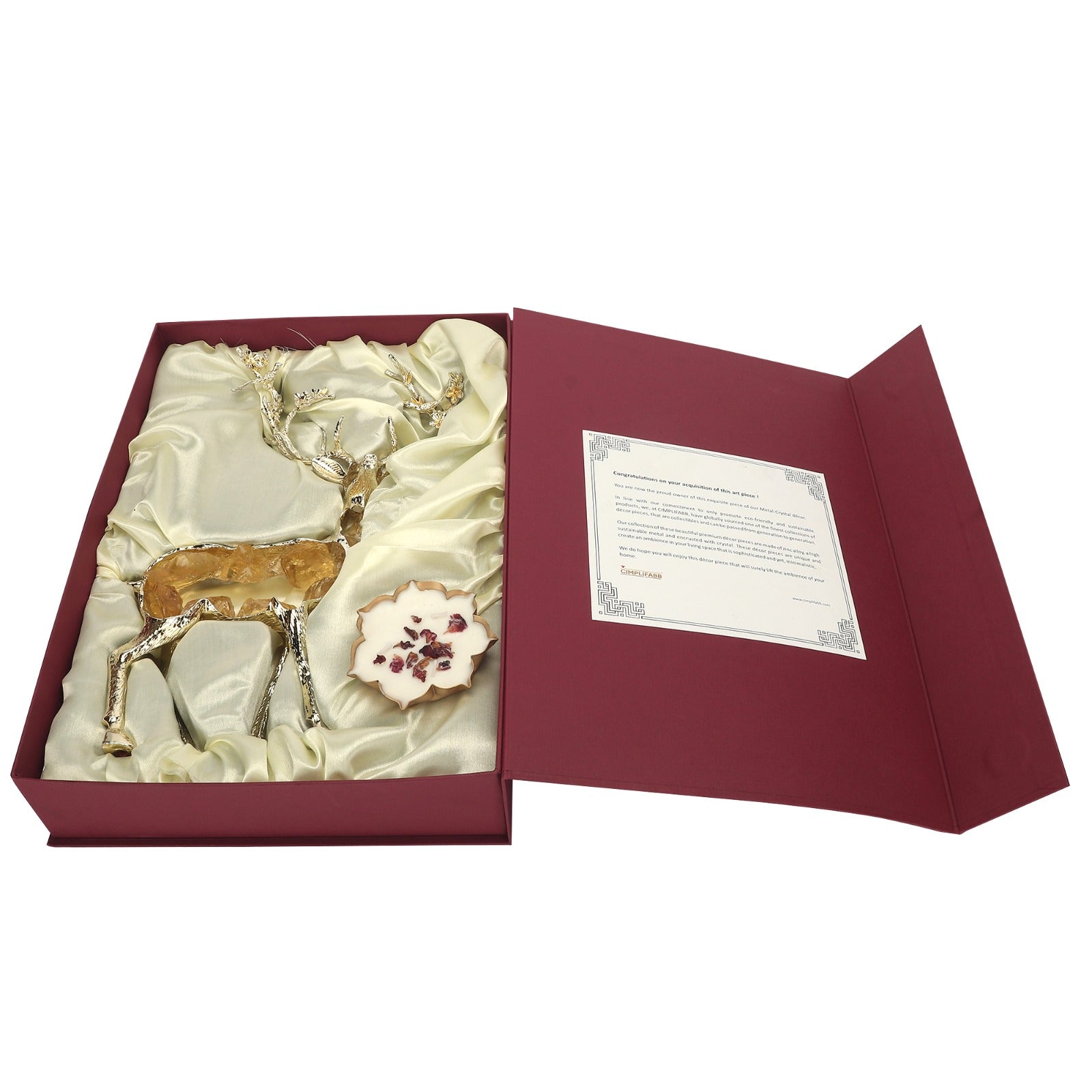 WhatsApp Image 2025-10-05 at 2.56.44 PM