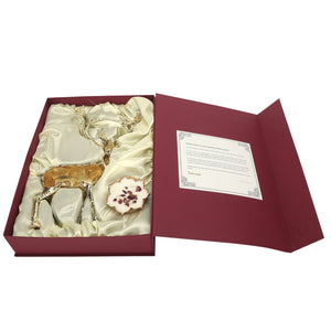 WhatsApp Image 2025-10-05 at 2.56.44 PM